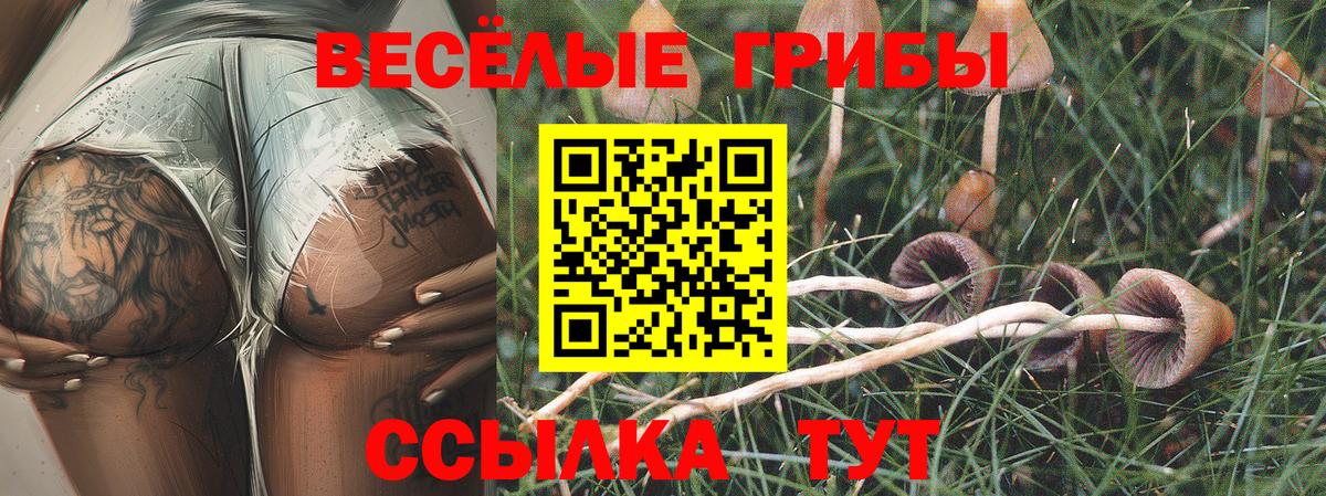 Кубинка  цена   Вход с VPN  Галлюциногенные грибы ЛСД 