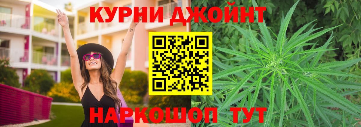 Канабис конопля Кубинка